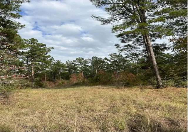 Photo 4 of Land for sale at 00 Fm 705, Broaddus, TX 75929 | MLS# 2498192 | Listing updated on 2026-07-25