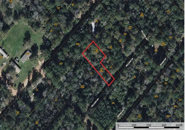 Photo 3 of Land for sale at Tbd Williams Dr, Livingston, TX 77351 | MLS# 77211529 | Listing updated on 2026-08-30