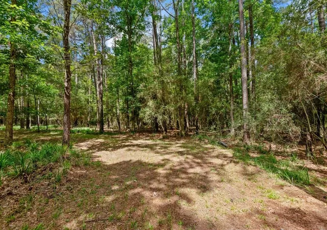 49th image of 5914 Stone Creek Dr, Magnolia, TX 77354 | MLS# 88706517