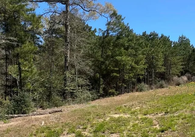 Photo 2 of Land for sale at 16283 Ridge Oak Rd, Willis, TX 77378 | MLS# 75220530 | Listing updated on 2026-05-19
