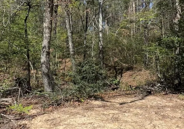 Photo 3 of Land for sale at 16283 Ridge Oak Rd, Willis, TX 77378 | MLS# 75220530 | Listing updated on 2026-05-19