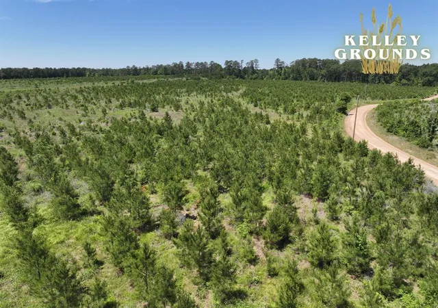 2nd image of 2 7 A Kelley Road, Livingston, TX 77351 | MLS# 11635536