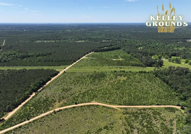 3rd image of 2-7 A Kelley Road, Livingston, TX 77351 | MLS# 11635536