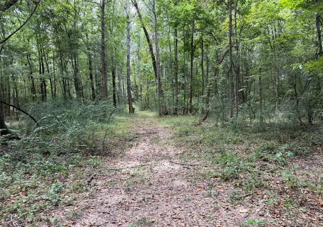 Photo 3 of Land for sale at 11 D Kenle Ln, Huntsville, TX 77340 | MLS# 24623087 | Listing updated on 2026-08-28