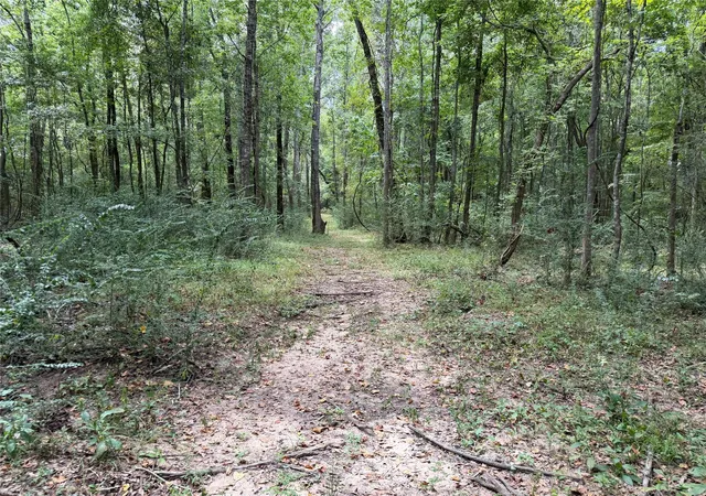 Photo 3 of Land for sale at 11 D Kenle Ln, Huntsville, TX 77340 | MLS# 24623087 | Listing updated on 2026-08-28