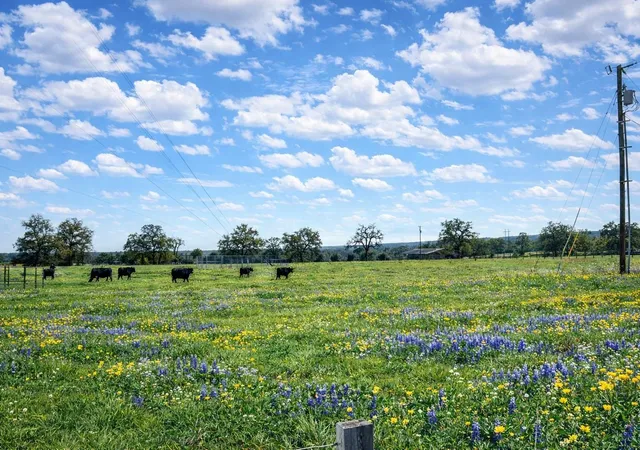 Homes for sale in Oakwood, TX | 12811 E Us Hwy 79, Oakwood, TX 75855 | MLS# 34951328