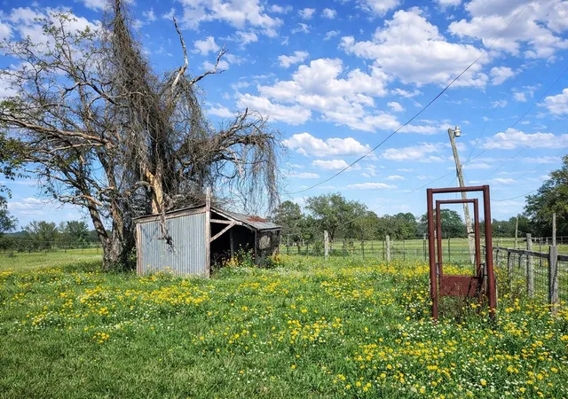 Homes for sale in Oakwood, TX | 12811 E Us Hwy 79, Oakwood, TX 75855 | MLS# 34951328