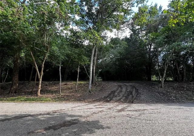 Photo 2 of Land for sale at 00 Chadwick Hogan Rd, Chappell Hill, TX 77426 | MLS# 65840168 | Listing updated on 2026-09-18
