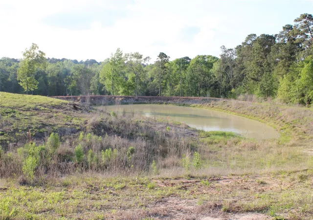 15th image of Tbd Harrell Rd, Coldspring, TX 77331 | MLS# 94874496