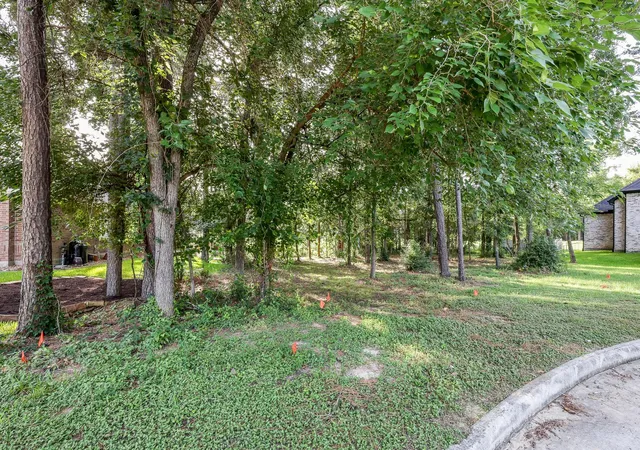 Photo 4 of Land for sale at 15 Brookwood Ct, Montgomery, TX 77356 | MLS# 64388917 | Listing updated on 2026-07-23
