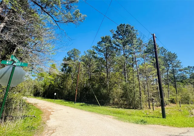 Homes for sale in Plantersville, TX | 00 Creekbend Dr, Plantersville, TX 77363 | MLS# 54133768