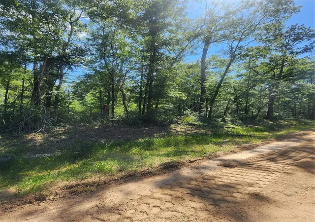 Photo 3 of Land for sale at 01 Cindy Ln, Shepherd, TX 77371 | MLS# 7285639 | Listing updated on 2026-05-14