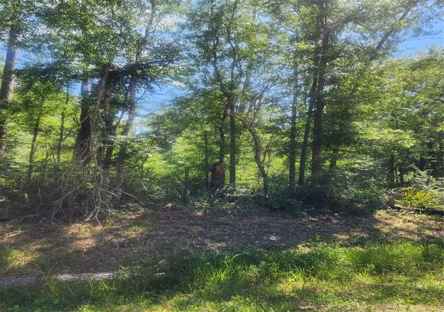 4th image of 01 Cindy Ln, Shepherd, TX 77371 | MLS# 7285639