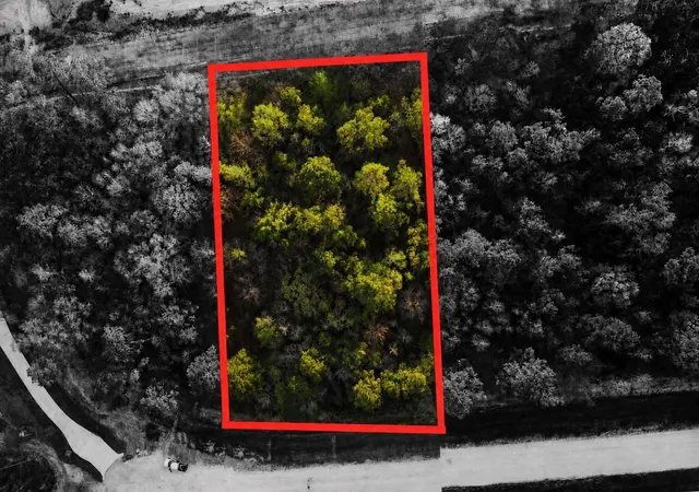 Photo 2 of Land for sale at 186 Bunkhouse Rd, New Waverly, TX 77358 | MLS# 82634915 | Listing updated on 2026-08-28