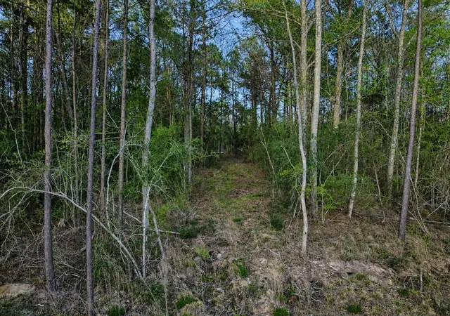Photo 3 of Land for sale at 186 Bunkhouse Rd, New Waverly, TX 77358 | MLS# 82634915 | Listing updated on 2026-08-28