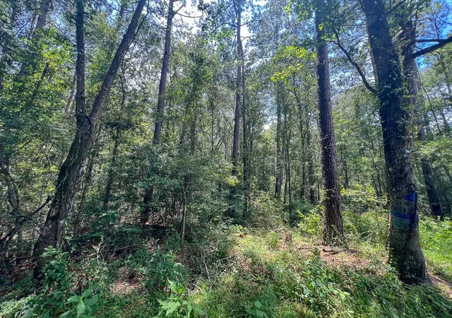 Homes for sale in Mauriceville, TX | 3 County Road 821, Mauriceville, TX 77612 | MLS# 30907504