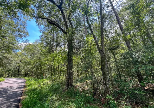 Homes for sale in Mauriceville, TX | 3 County Road 821, Mauriceville, TX 77612 | MLS# 30907504