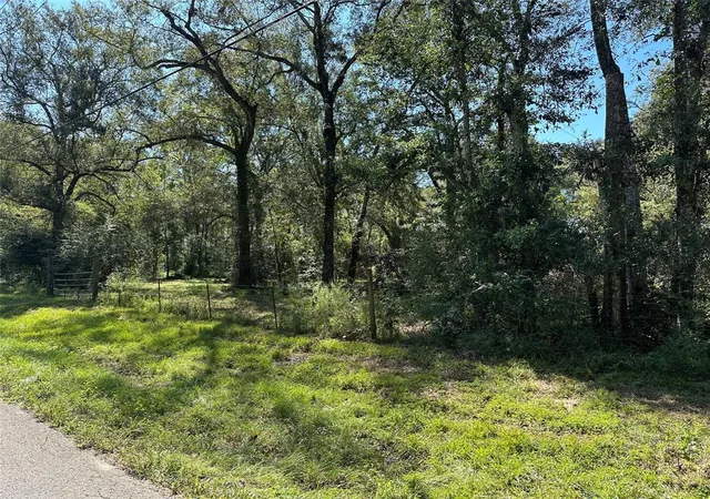 2nd image of 27316 Frye Rd, Splendora, TX 77372 | MLS# 43769841