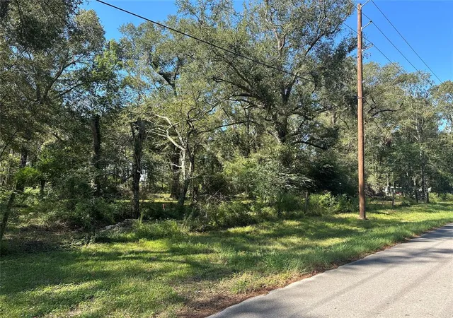 3rd image of 27316 Frye Rd, Splendora, TX 77372 | MLS# 43769841