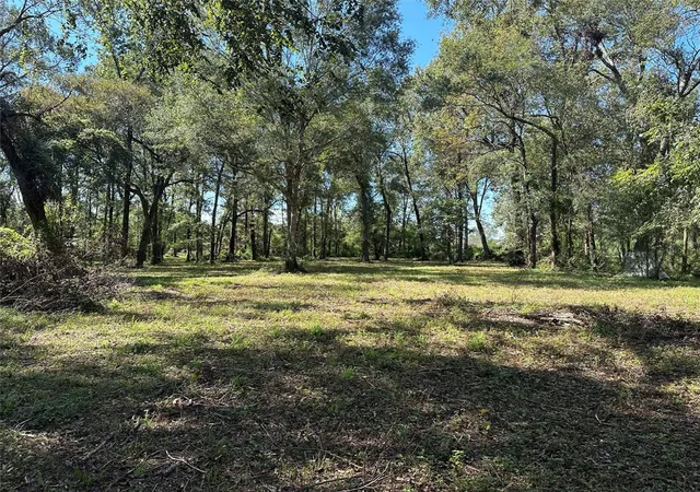 4th image of 27316 Frye Rd, Splendora, TX 77372 | MLS# 43769841