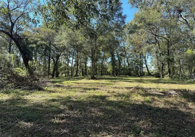 5th image of 27316 Frye Rd, Splendora, TX 77372 | MLS# 43769841
