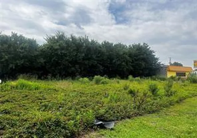 Photo 2 of Land for sale at 0 Antoine Dr, Houston, TX 77091 | MLS# 10657117 | Listing updated on 2026-09-23