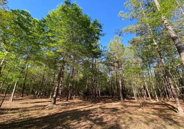Photo 1 of Land for sale at 309 Exploration Rd, Willis, TX 77378 | MLS# 9746982 | Listing updated on 2026-07-17