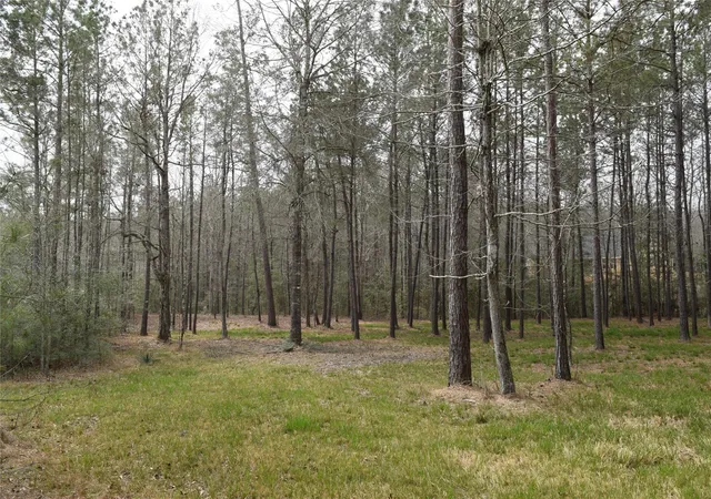 Photo 2 of Land for sale at 309 Exploration Rd, Willis, TX 77378 | MLS# 9746982 | Listing updated on 2026-07-17