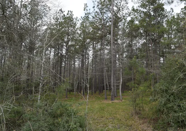 Photo 4 of Land for sale at 309 Exploration Rd, Willis, TX 77378 | MLS# 9746982 | Listing updated on 2026-07-17