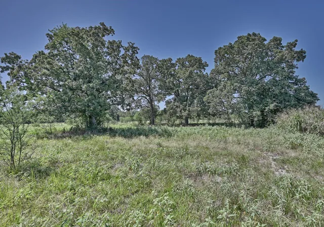 Photo 2 of Sale Pending at 6823 Fawn Oaks Ridge, Iola, TX 77861 | MLS# 53770028 | Listing updated on 2026-09-04