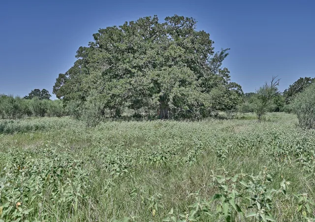 Photo 4 of Sale Pending at 6823 Fawn Oaks Ridge, Iola, TX 77861 | MLS# 53770028 | Listing updated on 2026-09-04