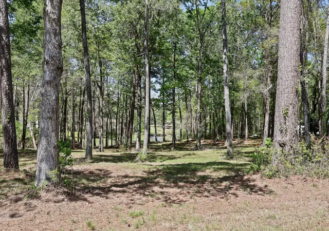 2nd image of 000 Harrell Cemetery Rd, Coldspring, TX 77331 | MLS# 60421210