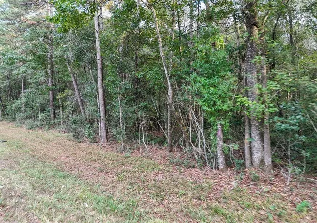 Photo 2 of Land for sale at 0000 Tbd Fm 1725, Cleveland, TX 77328 | MLS# 27491505 | Listing updated on 2026-08-20