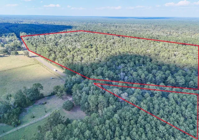 Photo 3 of Land for sale at 0000 Tbd Fm 1725, Cleveland, TX 77328 | MLS# 27491505 | Listing updated on 2026-08-20