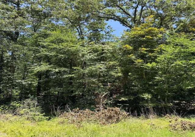 Photo 3 of Land for sale at Tbd Wolf Run, Livingston, TX 77351 | MLS# 33855692 | Listing updated on 2026-08-01