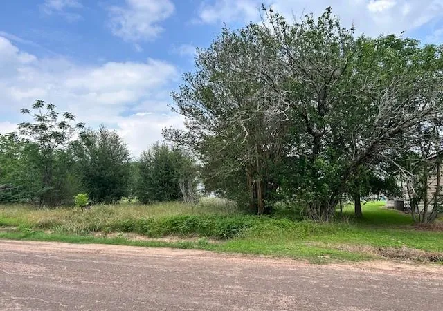 Homes for sale in Hempstead, TX | 0 2Nd Street, Hempstead, TX 77445 | MLS# 10987692