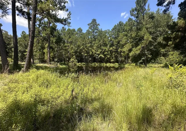 Photo 31 of Land for sale at 9175 Rocky Ridge Ln, Madisonville, TX 77864 | MLS# 32679181 | Listing updated on 2026-08-24