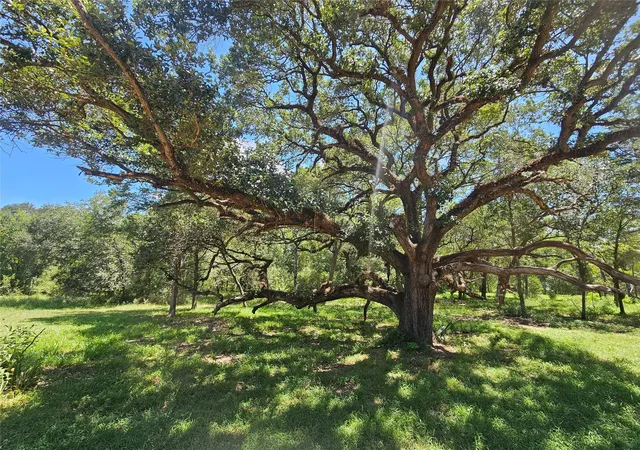 Photo 2 of Land for sale at 2980 S Ih 10, Weimar, TX 78962 | MLS# 12389320 | Listing updated on 2026-08-06