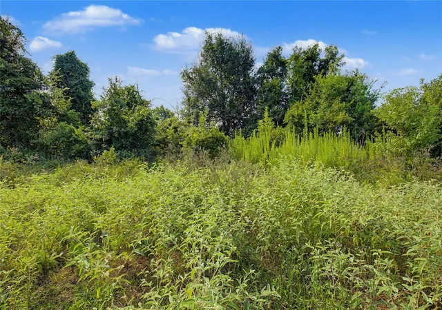 Photo 3 of Land for sale at 776 Yaupon Cvs Dr, Onalaska, TX 77360 | MLS# 54566051 | Listing updated on 2026-08-05