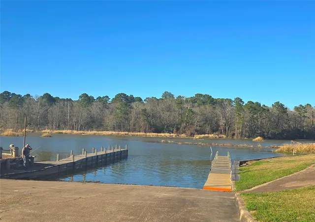 19th image of Tbd Burmuda Dune Dr, Huntsville, TX 77320 | MLS# 86506423