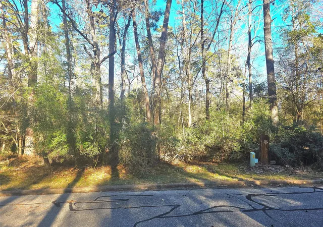 1st image of Tbd Burmuda Dune Dr, Huntsville, TX 77320 | MLS# 86506423