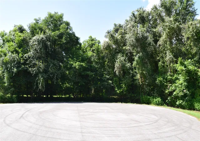 Photo 3 of Land for sale at 0 Colony Dr, Angleton, TX 77515 | MLS# 35802156 | Listing updated on 2026-09-22