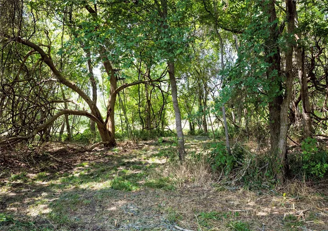 Photo 3 of Land for sale at 710 County Road 211a, Hallettsville, TX 77964 | MLS# 70474230 | Listing updated on 2026-08-21