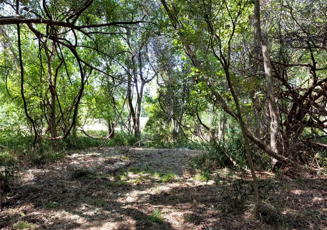 Photo 3 of Land for sale at 710 County Road 211A, Hallettsville, TX 77964 | MLS# 70474230 | Listing updated on 2026-08-21