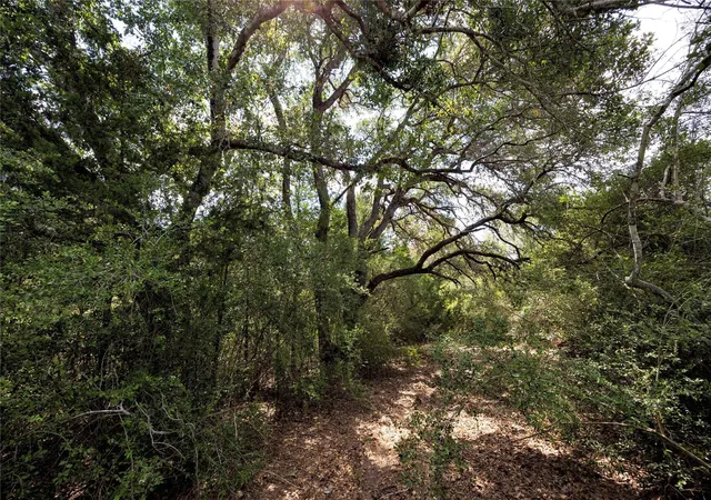 Photo 4 of Land for sale at 710 County Road 211A, Hallettsville, TX 77964 | MLS# 70474230 | Listing updated on 2026-08-21