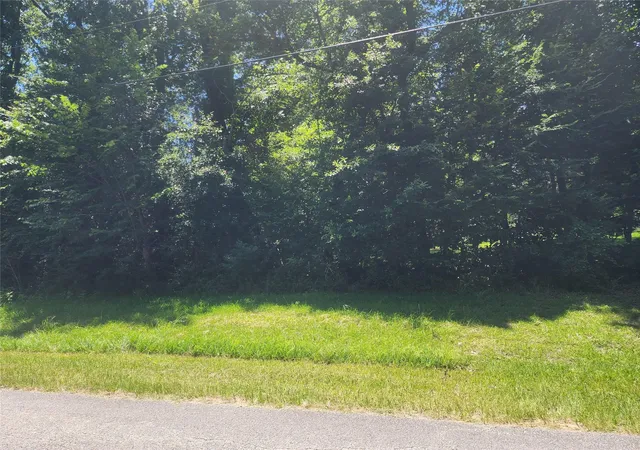 1st image of Tbd Northwoods Dr Dr, Point Blank, TX 77364 | MLS# 39455752