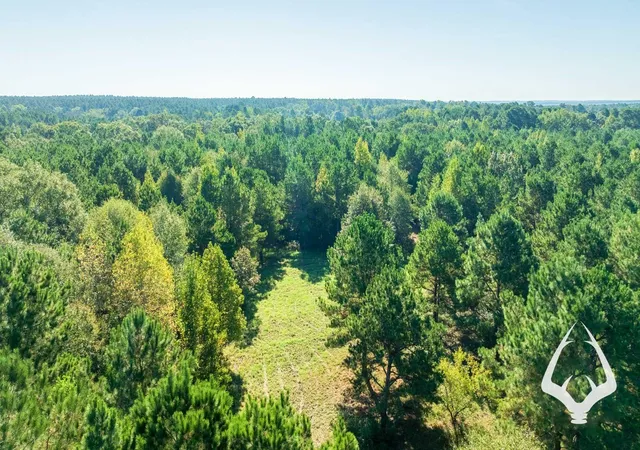 Photo 2 of Land for sale at 1580 00 County Road 4366, Tenaha, TX 75974 | MLS# 58496022 | Listing updated on 2026-08-29