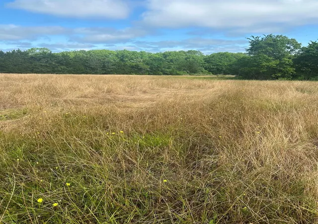 Photo 2 of Land for sale at 10740 Shepard Hl Rd, Willis, TX 77318 | MLS# 63716269 | Listing updated on 2026-08-19