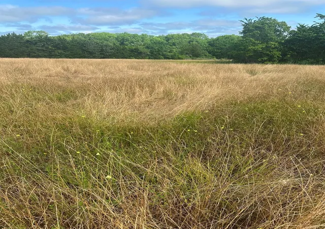 Photo 3 of Land for sale at 10740 Shepard Hl Rd, Willis, TX 77318 | MLS# 63716269 | Listing updated on 2026-08-19