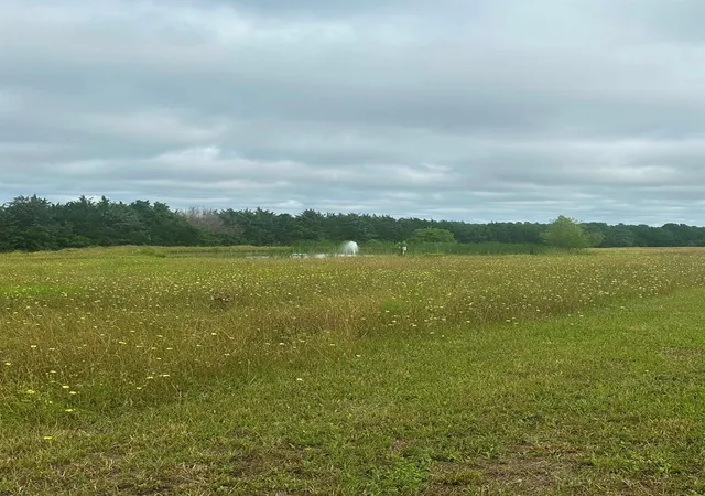 Photo 4 of Land for sale at 10740 Shepard Hl Rd, Willis, TX 77318 | MLS# 63716269 | Listing updated on 2026-08-19